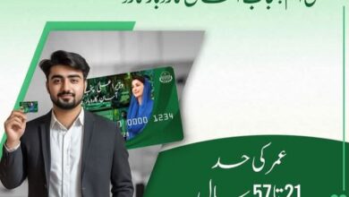 CM Punjab Asaan Karobar Scheme